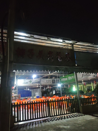 椰子头老爸茶