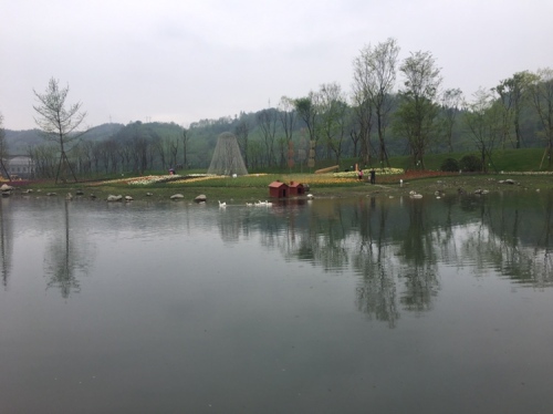 通济温泉花海景区旅行图片 3