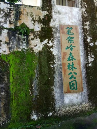 笔架岭森林公园旅行图片 3