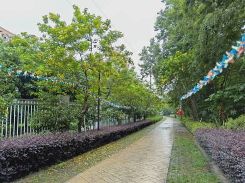阳春公园旅行图片 1