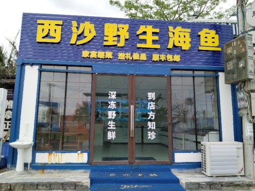 西沙野生海鱼