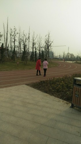刘桥体育公园旅行图片 2
