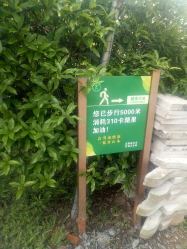 岗墩古道风景区旅行图片 1