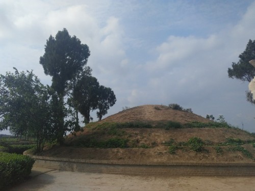 关汉卿墓旅行图片 1
