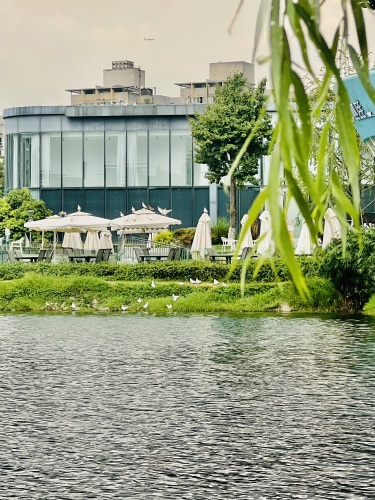 东湖公园