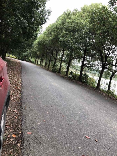 绮山森林公园旅行图片 2