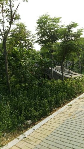 汤河公园旅行图片 1
