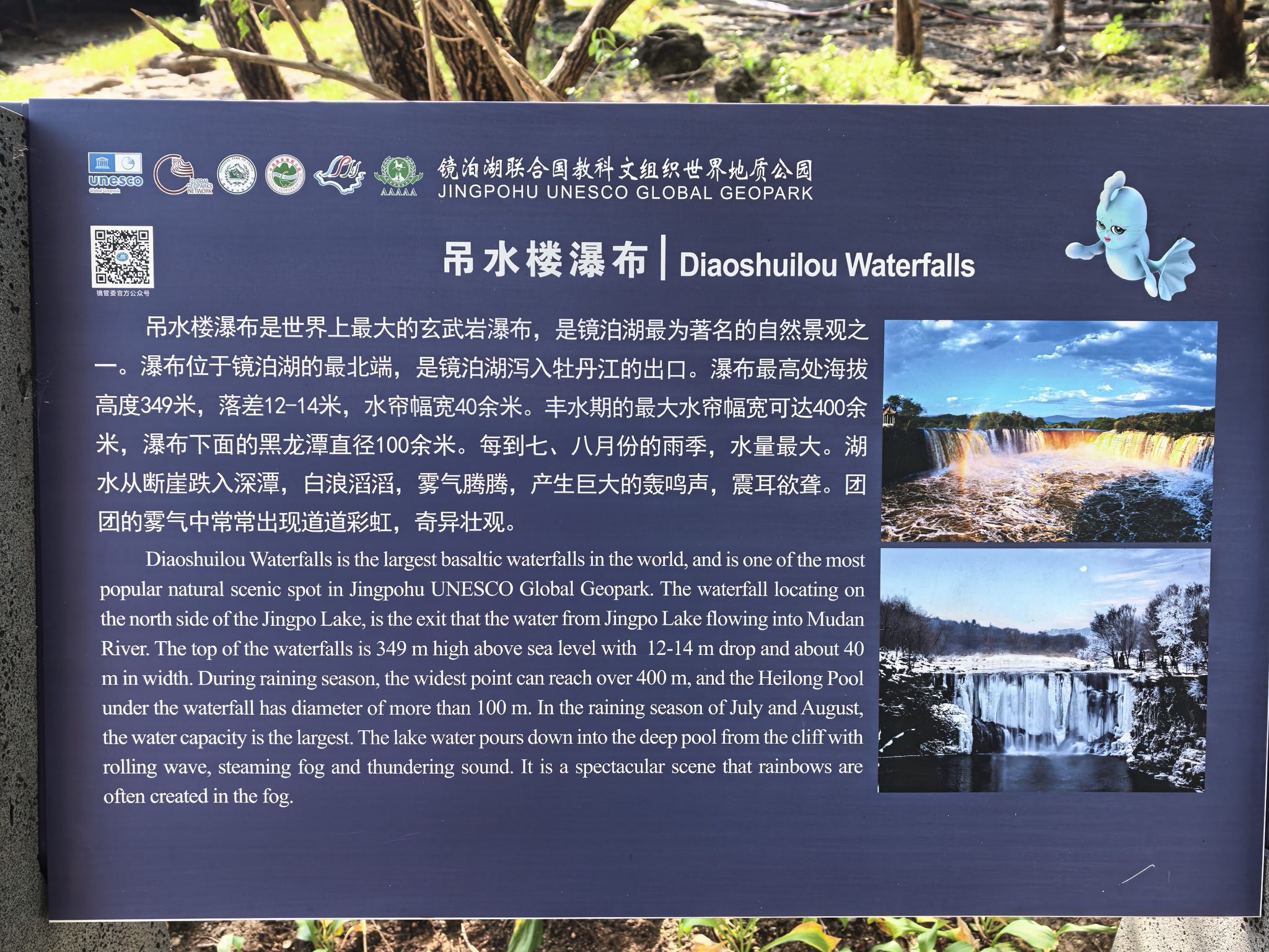 吊水楼瀑布 景点照片