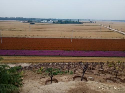 都山公园旅行图片 2