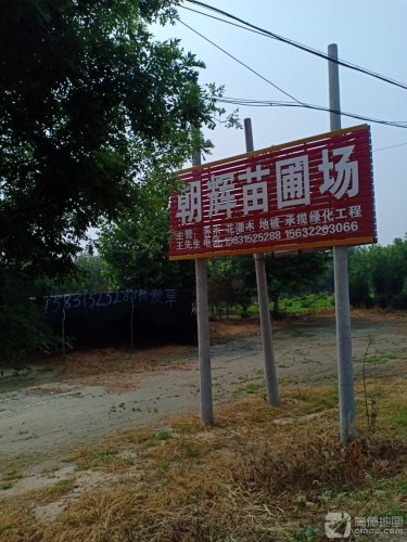 朝辉苗圃场