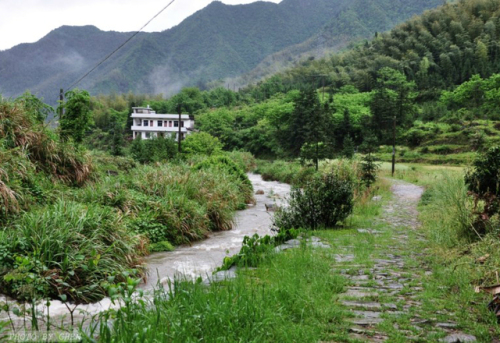 仙霞古道旅行图片 3