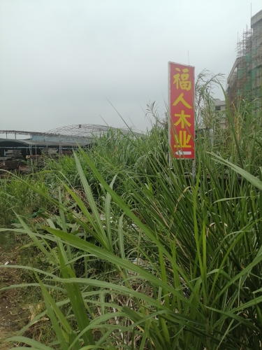 福人木业