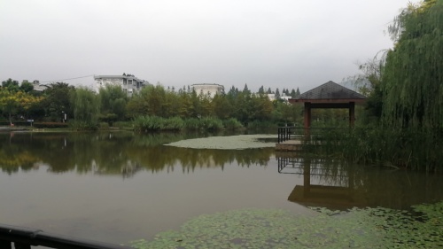 凤凰湖公园旅行图片 1