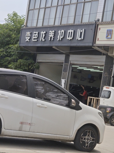 变色龙养护中心