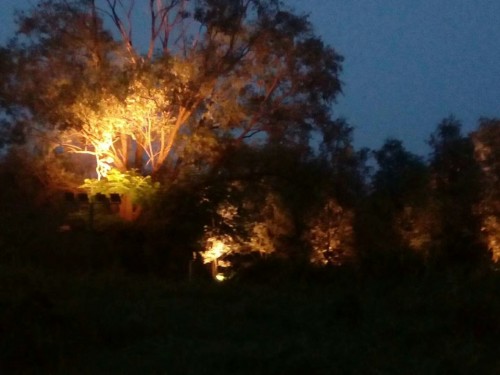 柳树湾湿地公园旅行图片 1