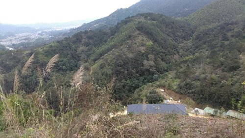 兴业县卖酒镇苍院村石牙峰景区旅行图片 3