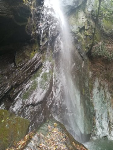 大川瀑布旅行图片 1