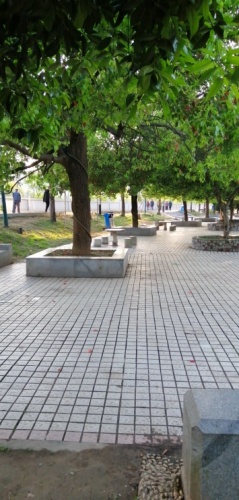 福寿广场旅行图片 2