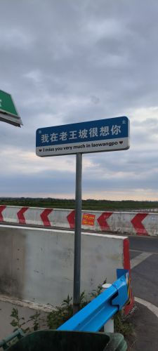 老王坡·麦田夜市