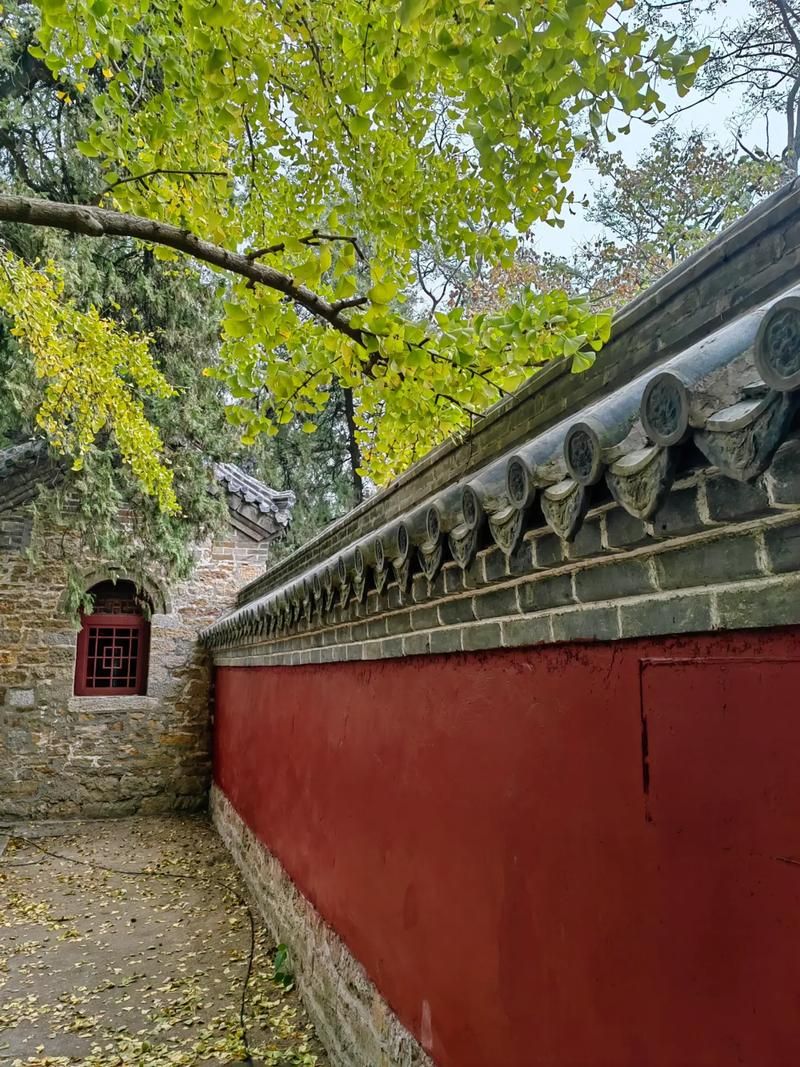 巢湖定林寺实景照片
