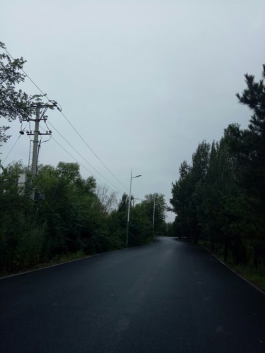 东谟公园旅行图片 3