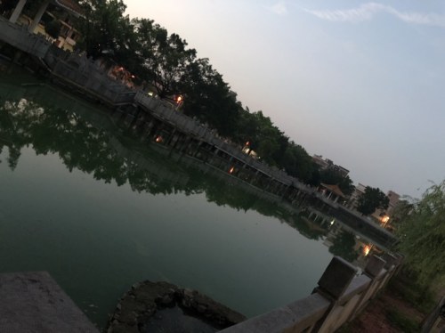 龙岗公园旅行图片 3