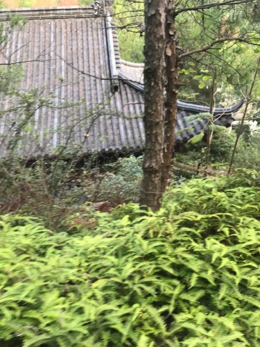 社姆殿风景区旅行图片 1