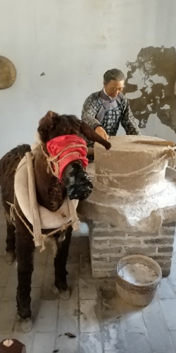骆马湖-陈家大院旅行图片 3