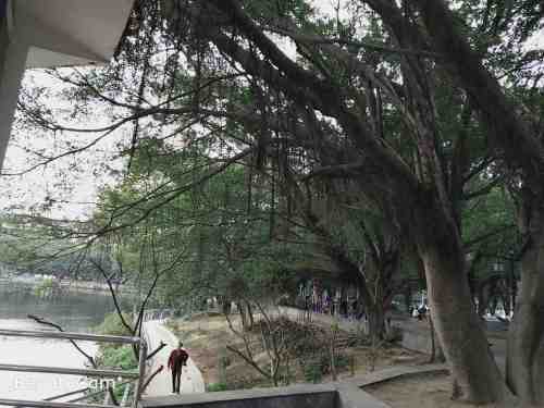 清新体育公园旅行图片 2
