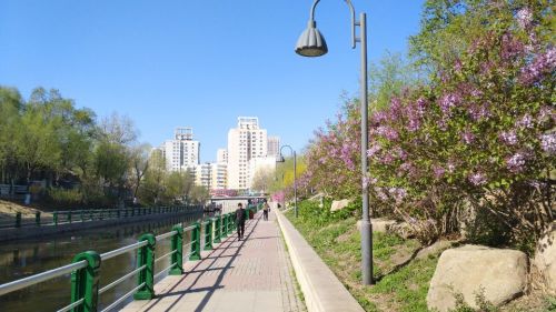 马家沟河丽水公园旅行图片 3