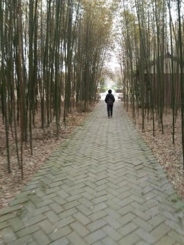 新华社山东分社诞生地旅行图片 2