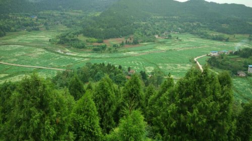 十里荷画景区旅行图片 3
