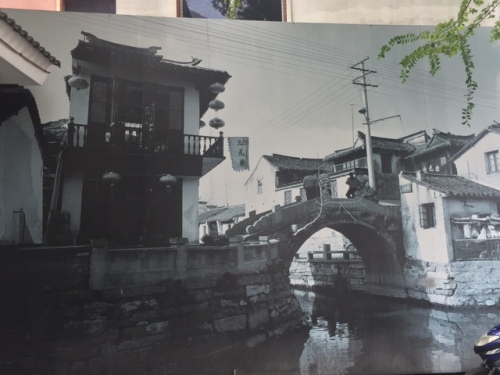 奔牛公园旅行图片 3