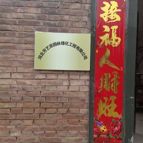 河北芳艺菲园林绿化工程有限公司