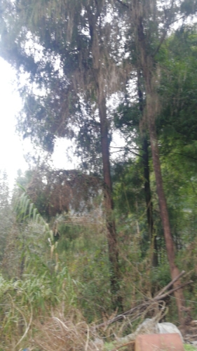观音庙实景照片