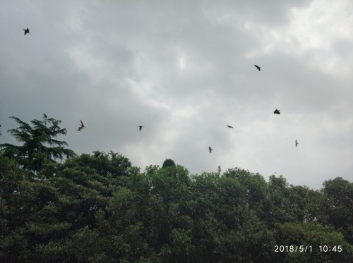 施耐庵文化园旅行图片 1