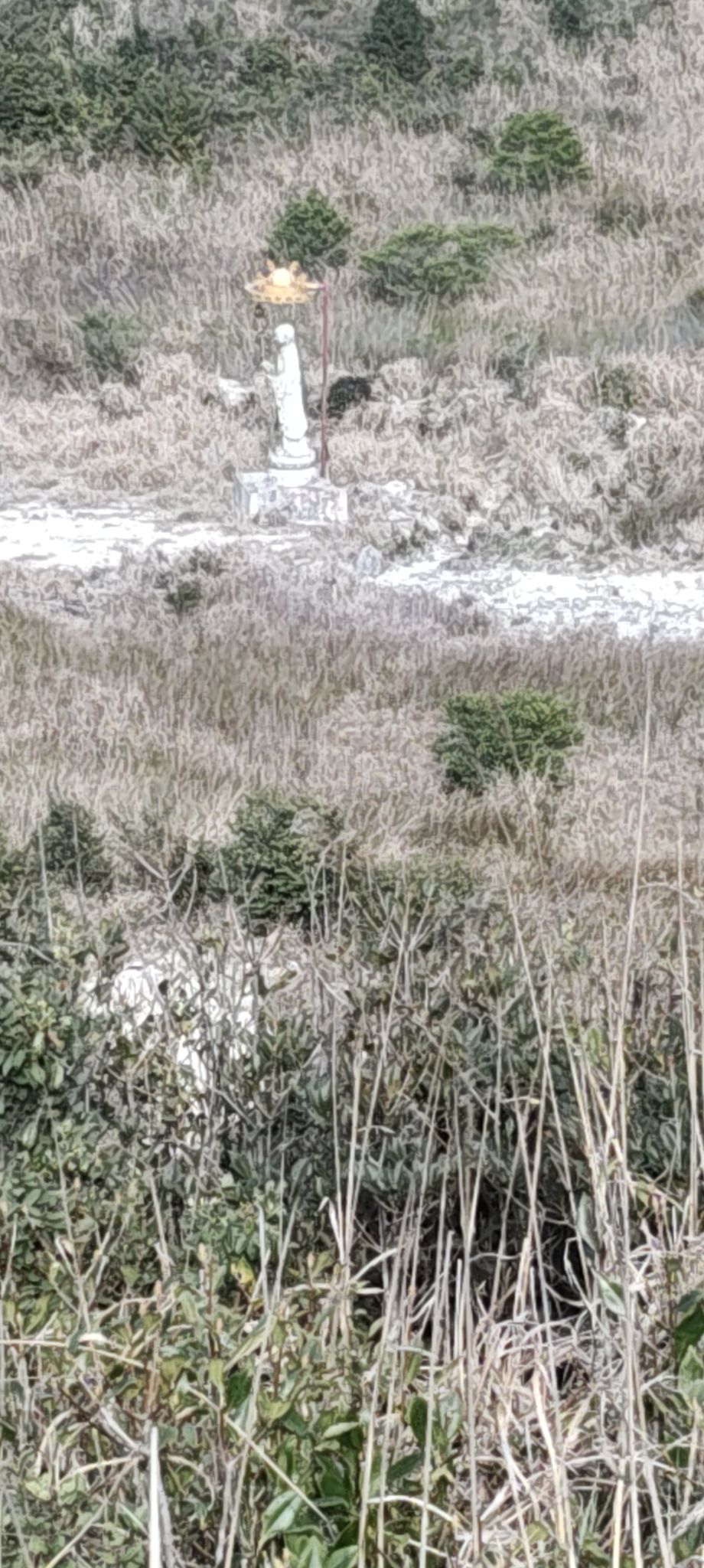 法源寺实景照片
