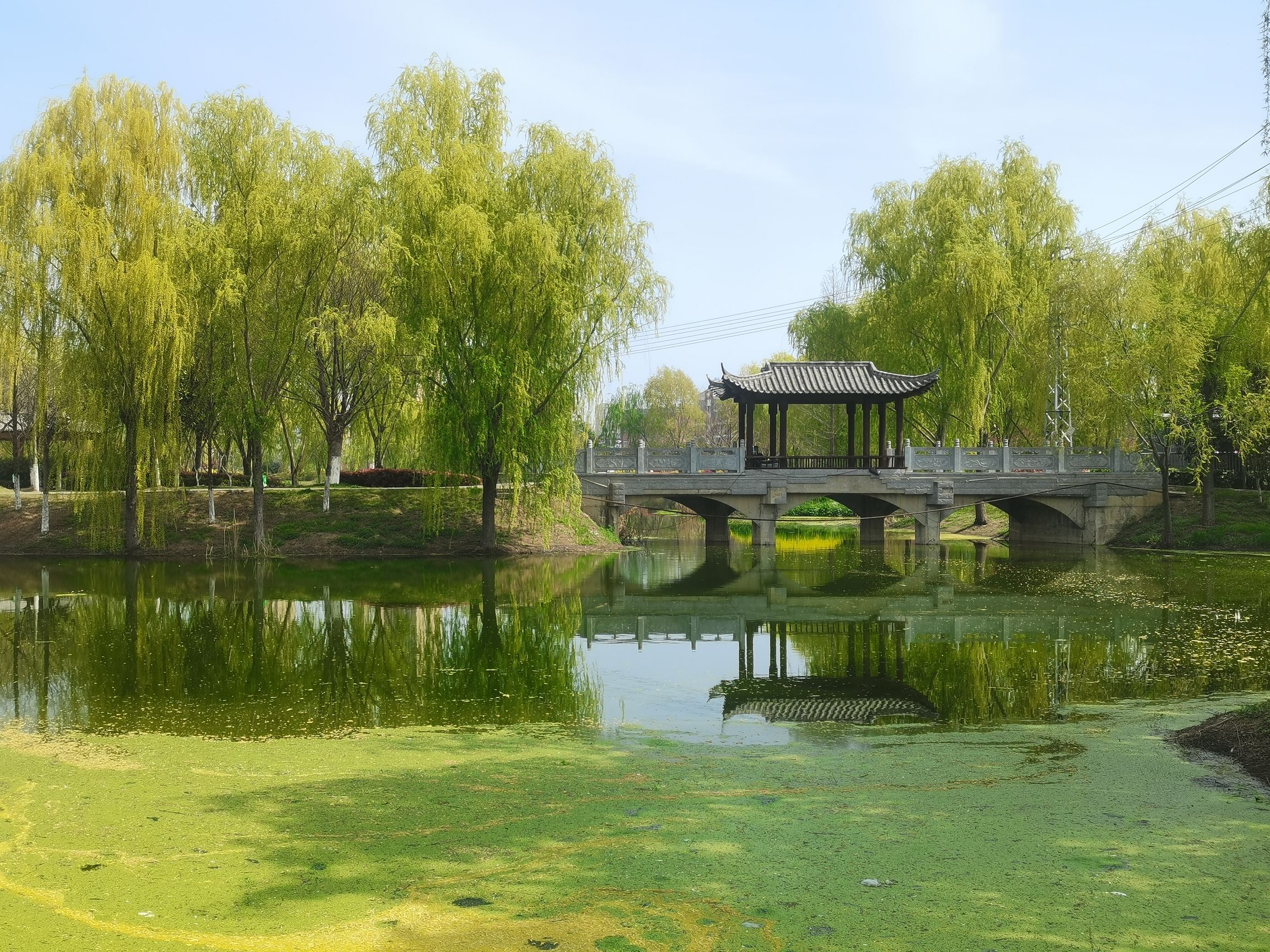 五河县龙湖公园
