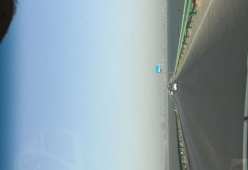 黄河湿地景观区旅行图片