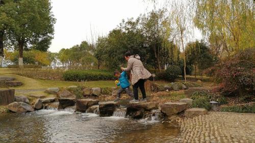 莲都江滨公园旅行图片 2
