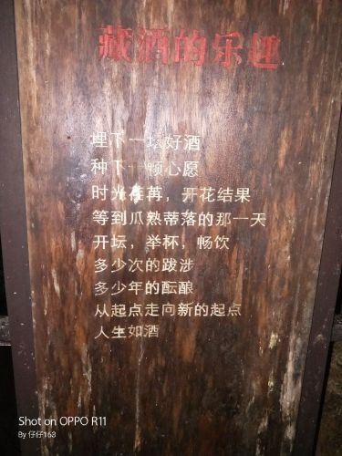 清风仙境风景区旅行图片 2