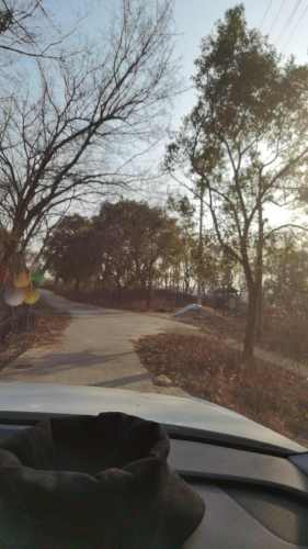 赤坎游仙寨遗址旅行图片 1