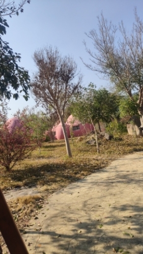桃仙溪景区旅行图片 2
