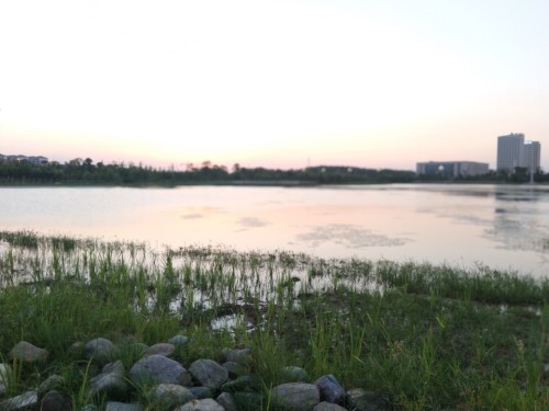 瑞阳湖湿地公园旅行图片 2