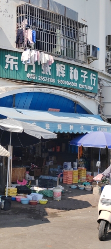 东方张辉种子经销部