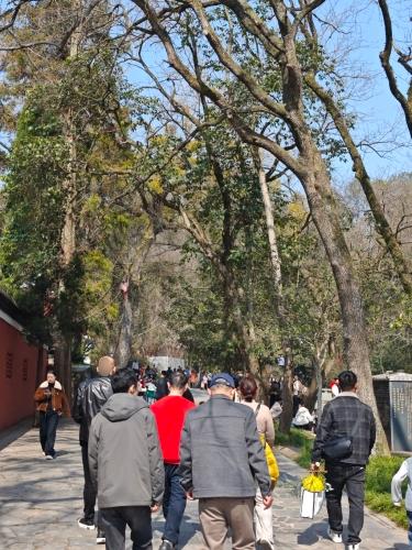大乐之野一山一寺实景照片