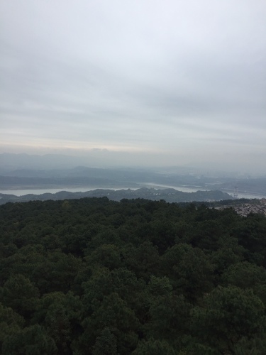 云岭广场旅行图片 3