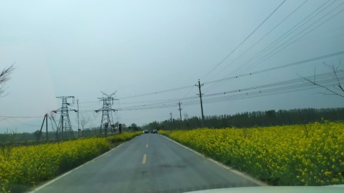 青龙湖风景区旅行图片 2