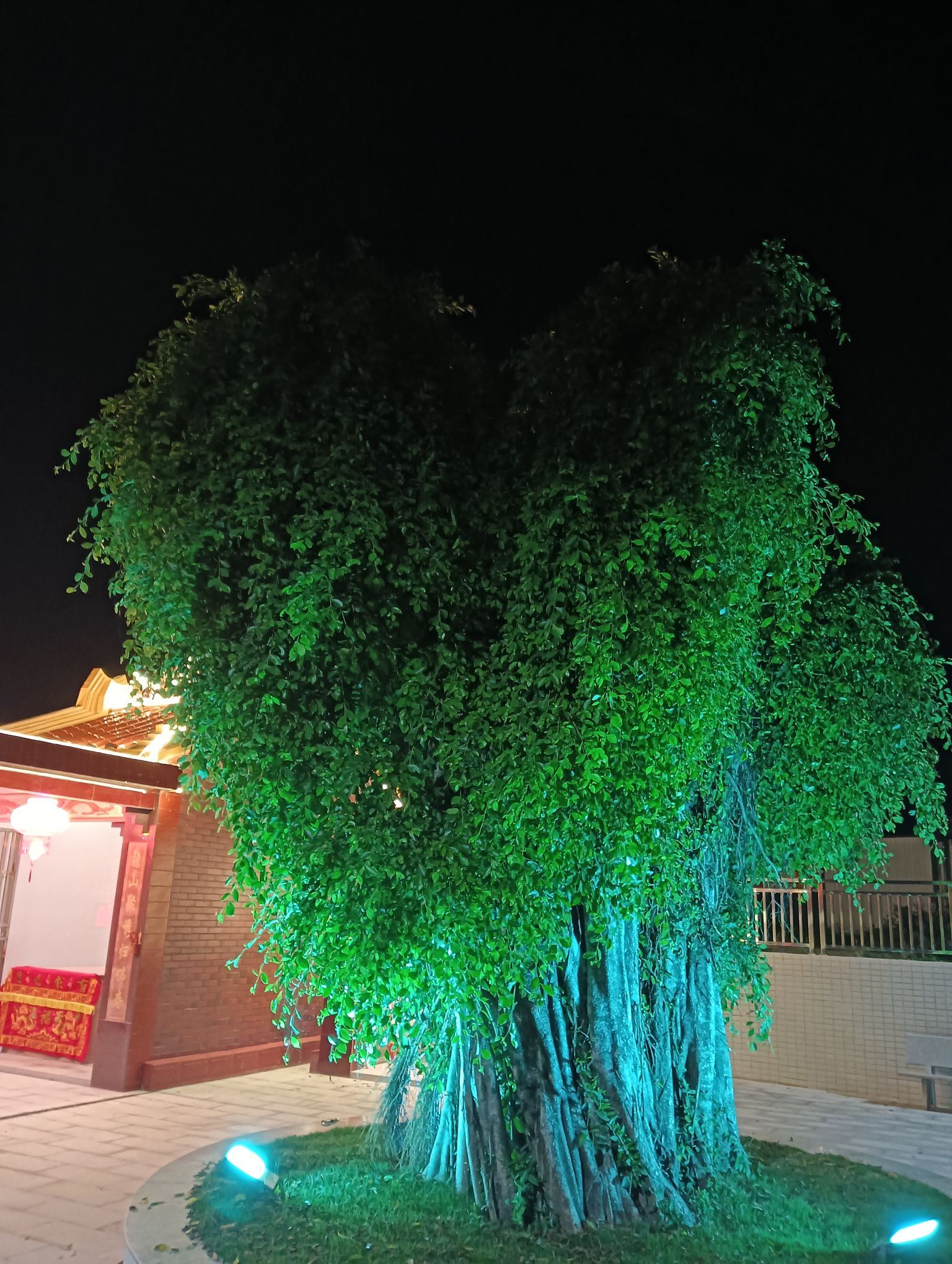 龙子王爷宫实景照片