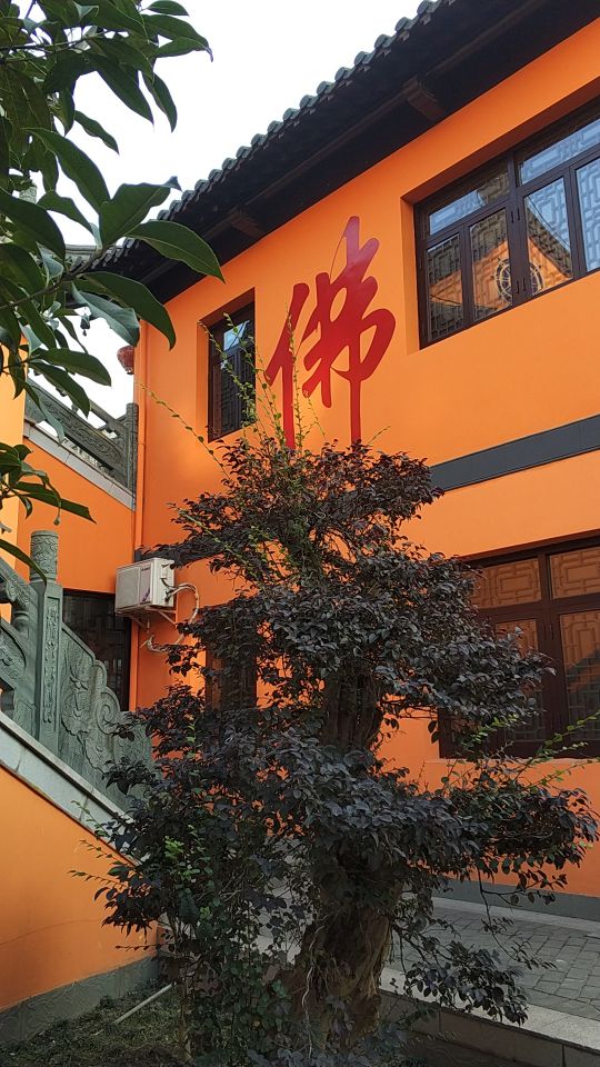 观音禅寺实景照片